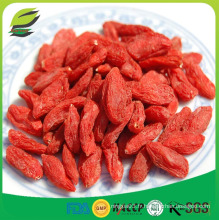 Baies de Wolfberry Goji chinois, Nouvelle récolte Berry Goji